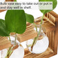 HDC Indoor Propagation Station Wooden Stand With 3 Bulb Shaped Home Glass Tube Vases