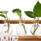 HDC Indoor Propagation Station Wooden Stand With 3 Bulb Shaped Home Glass Tube Vases