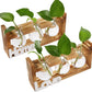 HDC Indoor Propagation Station Wooden Stand With 3 Bulb Shaped Home Glass Tube Vases