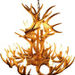 wall chandelier, wall lamps, Ceiling lights, chandelier, modern chandelier, pendant lights, Buy chandelier online, lights, lighting, buy lights online, lamps and lights, hdc lights, home decor, wall hangings, wall lamps for bedroom, wall fancy lights,  jhumar for home, lamps for living room
