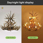 wall chandelier, wall lamps, Ceiling lights, chandelier, modern chandelier, pendant lights, Buy chandelier online, lights, lighting, buy lights online, lamps and lights, hdc lights, home decor, wall hangings, wall lamps for bedroom, wall fancy lights,  jhumar for home, lamps for living room