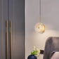 Hdc led 1-Light Gold Glass Disc Hanging Pendant Ceiling Light