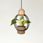 Hdc Unique Pendant Lamp with Indoor Plant Display