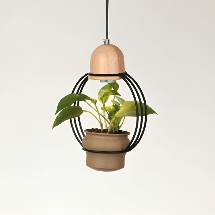 Hdc Unique Pendant Lamp with Indoor Plant Display