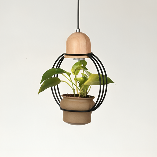 Hdc Unique Pendant Lamp with Indoor Plant Display