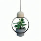 Hdc Unique Pendant Lamp with Indoor Plant Display