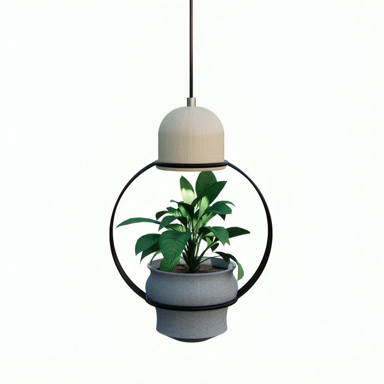 Hdc Unique Pendant Lamp with Indoor Plant Display