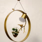 HDC Stylish Gold Metal Hanging Light With Plant Pot Design