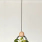 Hdc Unique Pendant Lamp with Indoor Plant Display