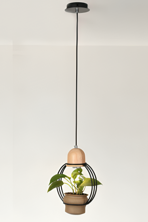 Hdc Unique Pendant Lamp with Indoor Plant Display