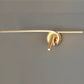 Hdc Stylish Metal Wall Light, FGD/PBK Finish, Modern Home Decor