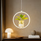 Hdc 18w Modern Hanging Planter LED Pendant Round Light Ceiling Lamp- Warm White