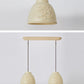 HDC White/Beige 2 Light Modern Floral Embossed Resin Pendant Light for Living Room