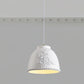 HDC White/Beige 1 Light Modern Floral Embossed Resin Pendant Light for Living Room