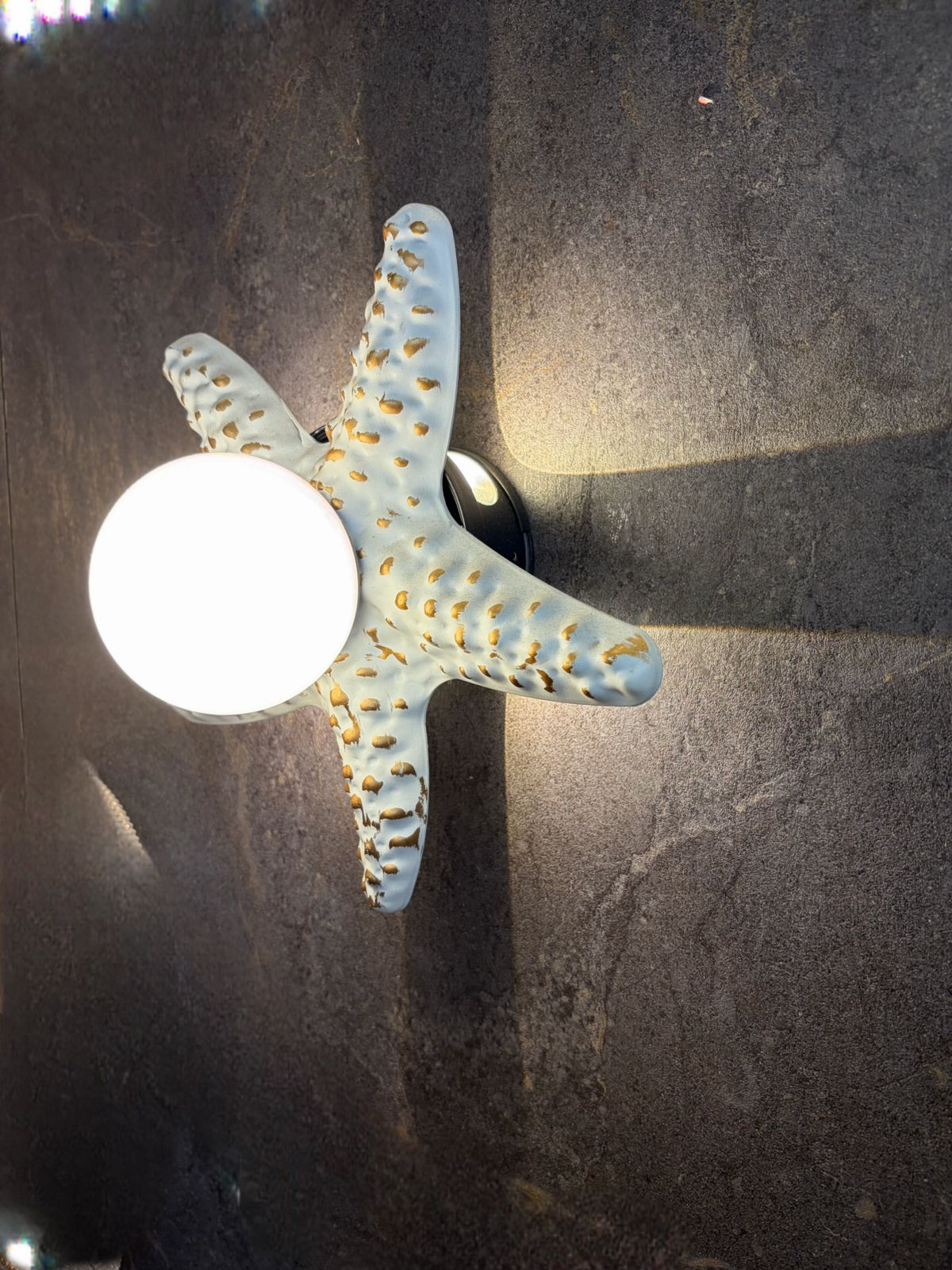HDC Luxury Starfish Outdoor Wall Light for Outdoor Areas