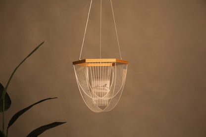 HDC Modern Gold Acrylic LED Hanging Chandelier for Bedroom, Living Room