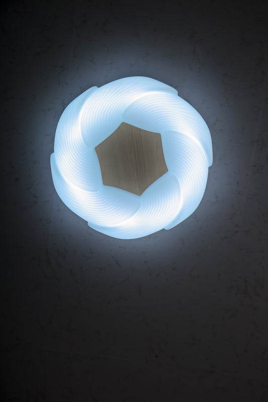HDC 500mm Modern Wooden Acrylic LED Ceiling Light for Bedroom, Living Room