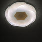 HDC 500mm Modern Wooden Acrylic LED Ceiling Light for Bedroom, Living Room