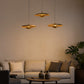 HDC Modern Golden Acrylic LED Cluster Pendant Light for Bedroom, Living Room