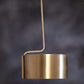 HDC Modern Golden Metal Pendant Light for Bedroom, Living Room
