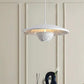 HDC Modern White Designer Resin Hanging Pendant Light