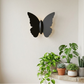 HDC Matte Black Outdoor Butterfly Design Light for Outdoor Decor