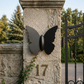 HDC Matte Black Outdoor Butterfly Design Light for Outdoor Decor