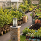 HDC Modern Outdoor Gate Pillar Light for Outdoor Areas