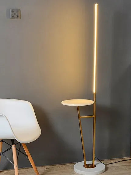 HDC  Modern LED Floor Lamp with Marble Base & Gold Iron Frame