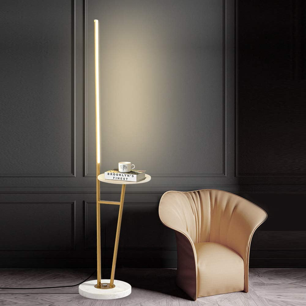 HDC  Modern LED Floor Lamp with Marble Base & Gold Iron Frame