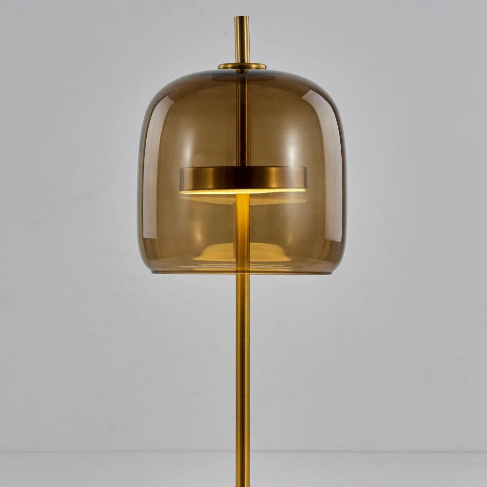 HDC  Premium Amber Dome LED Floor Lamp For Living Room