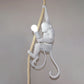 HDC Artistic Decorative Monkey Rope Pendant Light For Living Room