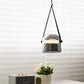 Hdc 1 Light Led Glass Smokey Black Pendant Lamp With Leather Strap Ceiling Light - Tricolor