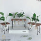 HDC Indoor Propagation Station Wooden Stand With 3 Bulb-Shaped Glass Vases Test Tube (Style 3)