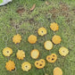 HDC  Flower Cookie Keyring | Cute & Realistic Food Keychain