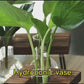 HDC Indoor Propagation Station Wooden Stand With 1 Bulb-Shaped Glass Vases Test Tube (Style 1)