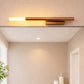 Hdc Minimalist Rose Gold Sleek LED Picture Wall Light- Tricolor