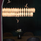 wall chandelier, wall lamps, Ceiling lights, chandelier, modern chandelier, pendant lights, Buy chandelier online, lights, lighting, buy lights online, lamps and lights, hdc lights, home decor, wall hangings, wall lamps for bedroom, wall fancy lights,  jhumar for home, lamps for living room