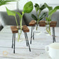 HDC Indoor Propagation Station Wooden Stand With 1 Bulb-Shaped Glass Vases Test Tube (Style 1)