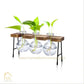 HDC Indoor Propagation Station Wooden Stand With 3 Bulb-Shaped Glass Vases Test Tube (Style 3)
