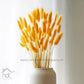 Hdc Naturally Dried Bunny Tail Flower Decor Bunch (Yellow)