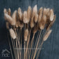 Hdc Naturally Dried Bunny Tail Flower Decor Bunch (Brown)