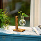 HDC Indoor Propagation Station Wooden Stand With 1 Bulb-Shaped Glass Vases Test Tube (Style 1)