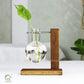 HDC Indoor Propagation Station Wooden Stand With 1 Bulb-Shaped Glass Vases Test Tube (Style 1)