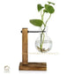 HDC Indoor Propagation Station Wooden Stand With 1 Bulb-Shaped Glass Vases Test Tube (Style 1)