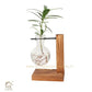 HDC Indoor Propagation Station Wooden Stand With 1 Bulb-Shaped Glass Vases Test Tube (Style 1)