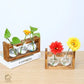 HDC Indoor Propagation Station Wooden Stand With 1 Bulb-Shaped Glass Vases Test Tube (Style 3)