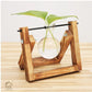 HDC Indoor Propagation Station Wooden Stand With 1 Bulb-Shaped Glass Vases Test Tube (Style 1)