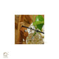HDC Indoor Propagation Station Wooden Stand With 1 Bulb-Shaped Glass Vases Test Tube (Style 1)