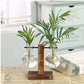 HDC Indoor Propagation Station Wooden Stand With 2 Bulb-Shaped Glass Vases Test Tube (Style 2)